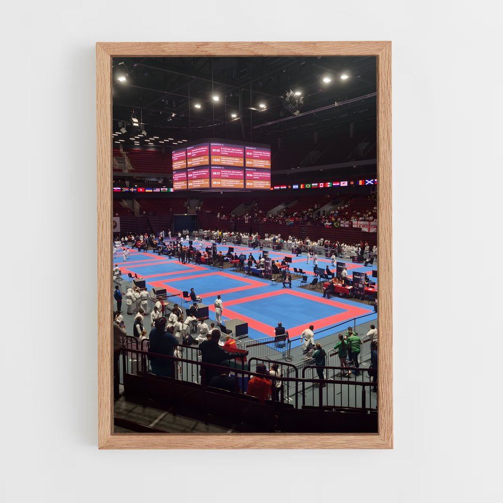 Poster World karate – affiche Karaté (vue 4)